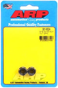ARP 5/16-18 SS Hex Nut Kit - 2 Pack