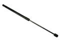 Hatch Strut
