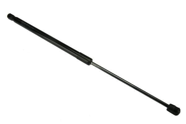 Hatch Strut