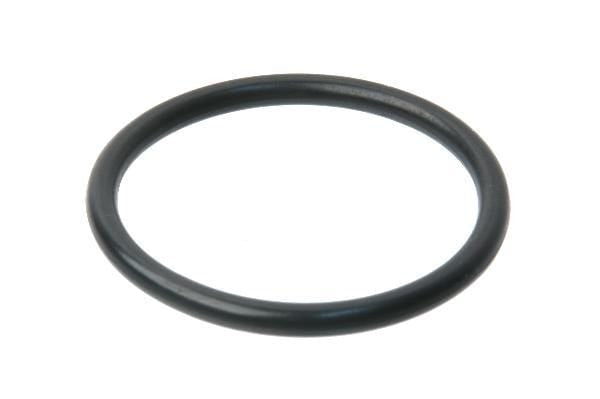 Fuel Tank Sending Unit Gasket - Porsche
