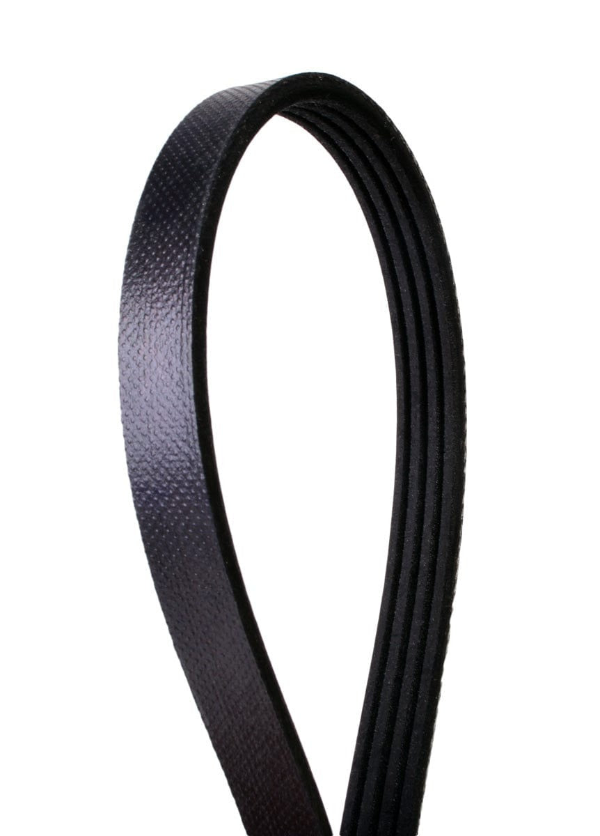 Multi-V Belt - VW/Audi