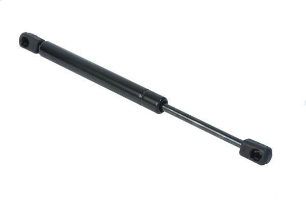 Trunk Strut