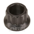 ARP 9/16in -18 12pt Nut Kit