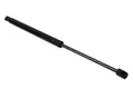 Hatch Strut