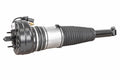 Air Spring Strut - VW/Audi