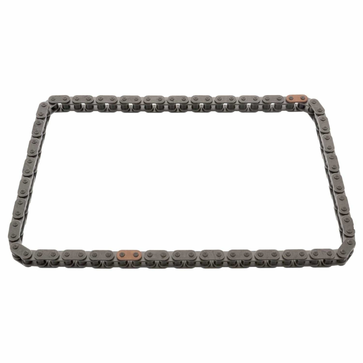 Engine Timing Chain - VW/Audi / 6.0L / W12 / D3 A8 / Phaeton