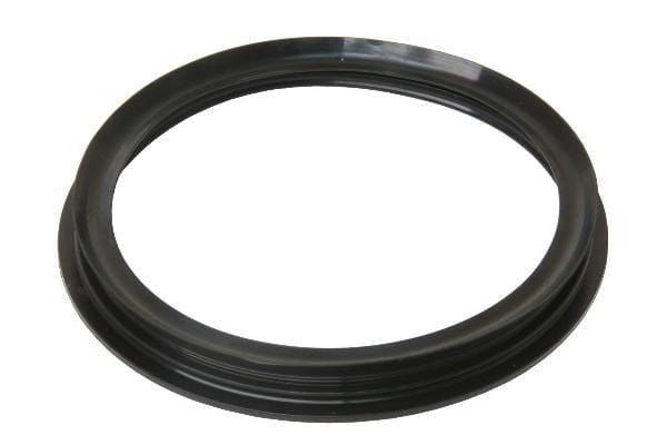 Fuel Sender Seal