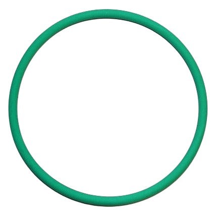 Intake Manifold Sealing Ring - VW/Audi