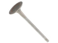Intake Valve - VW/Audi 2.5L / Rabbit / Jetta / Golf / Beetle / Passat