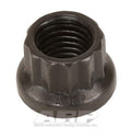 ARP 5/16 Inch-24 12pt Nut Kit