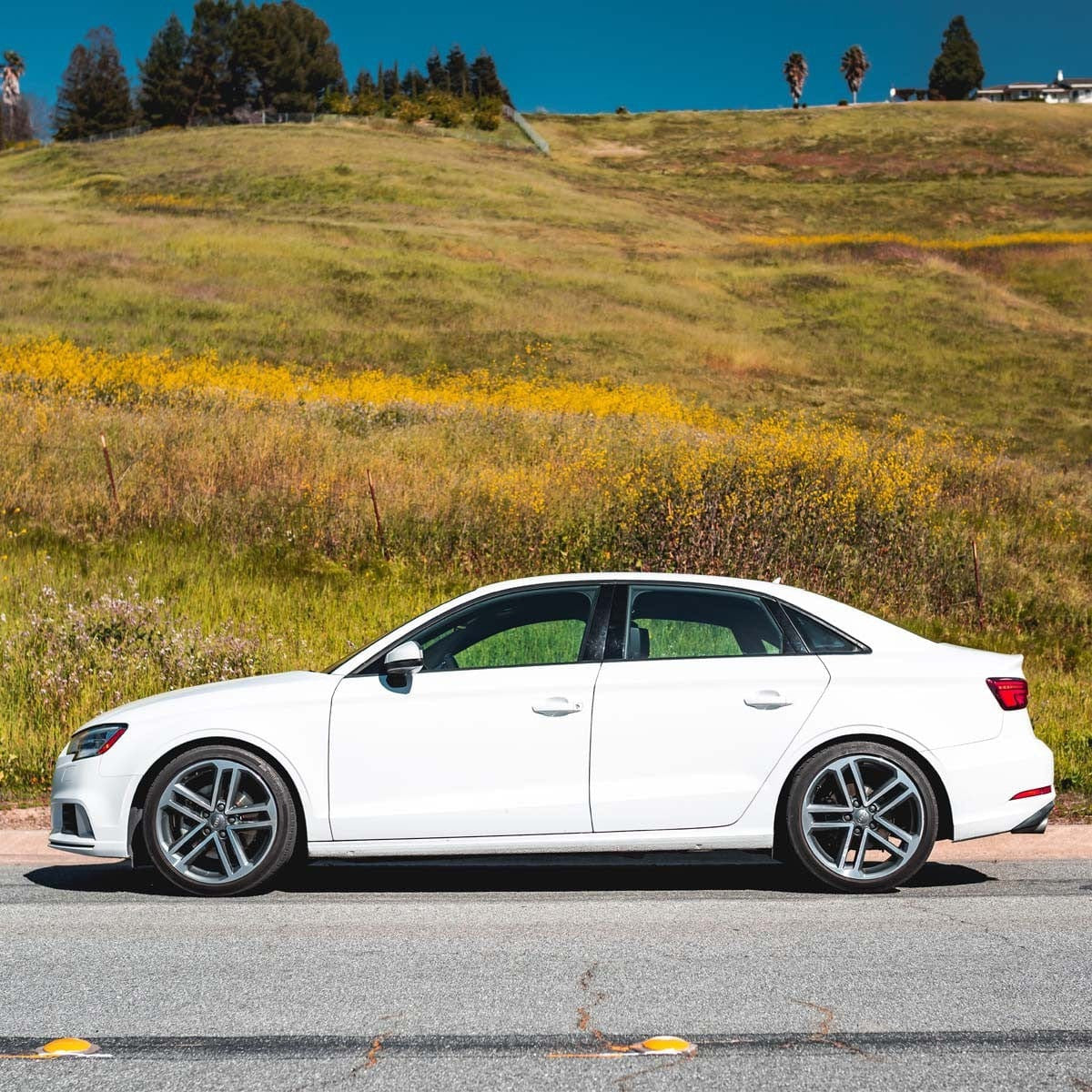034Motorsport Dynamic+ Lowering Springs - Audi / 8V / A3 / S3 (Non-Magride)