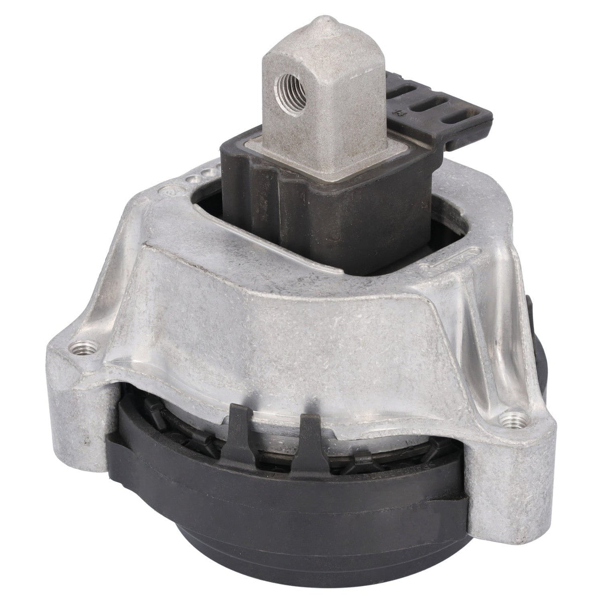 Engine Mount - BMW