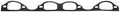 Intake Manifold Gasket - VW/Audi