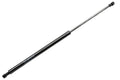 Hatch Strut
