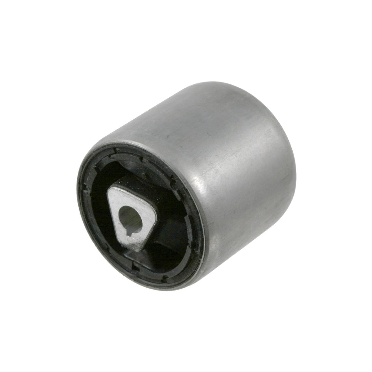 Control Arm Bushing - BMW