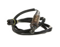 Oxygen Sensor Front Downstream - BMW E46 M3 / Z3 M S54