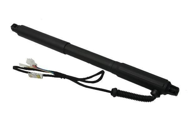 Tailgate Strut