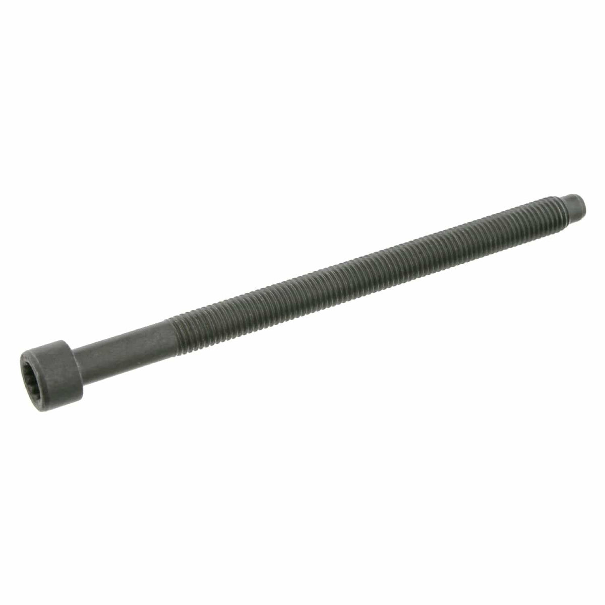 Cylinder Head Bolt - VW/Audi