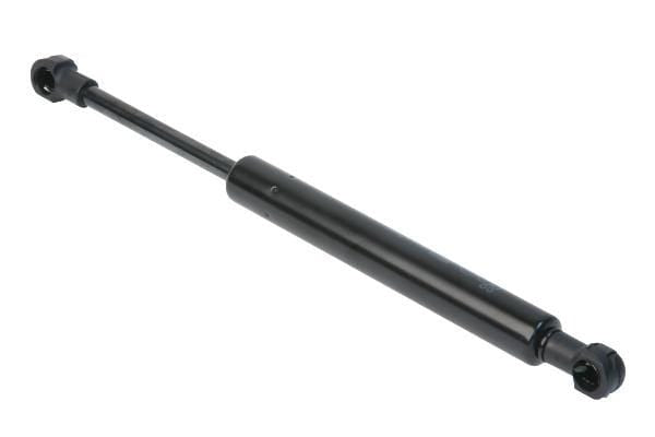 Trunk Strut