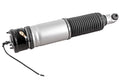 Air Spring Strut - BMW