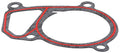 Water Pipe Gasket - BMW