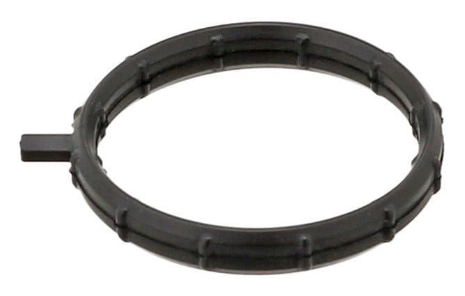 Thermostat Gasket - Porsche