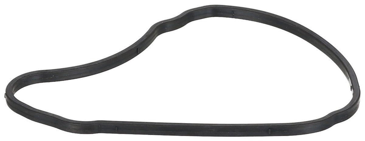 Timing Case Gasket - BMW
