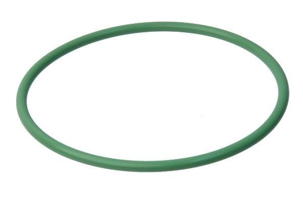 Fuel Sender Seal