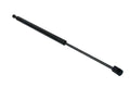 Tailgate Strut