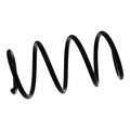 Coil Spring - BMW