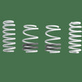 CTS Turbo Lowering Springs - Audi 8V - S3/RS3