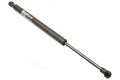 Trunk Strut