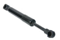 Trunk Strut