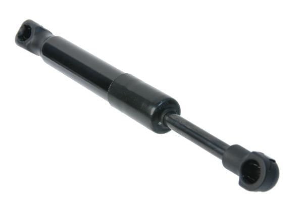 Trunk Strut