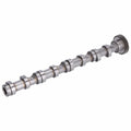 Camshaft - VW/Audi