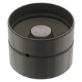 Hydraulic Cam Follower - BMW