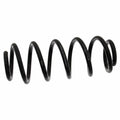 Coil Spring - VW/Audi