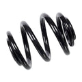 Coil Spring - VW/Audi