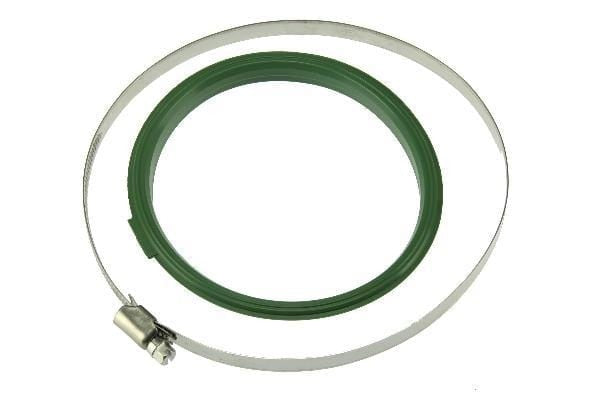 Fuel Pump Tank Seal