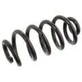 Coil Spring - VW/Audi