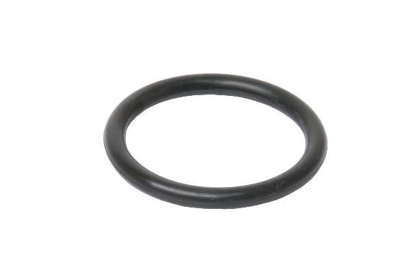 Water Pump O-Ring