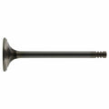 Exhaust Valve - BMW