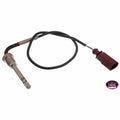 Exhaust Gas Temperature Sensor - VW/Audi
