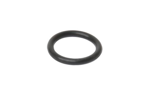 Water Pump O-Ring