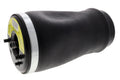Air Spring Strut - BMW