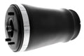 Air Spring Strut - BMW
