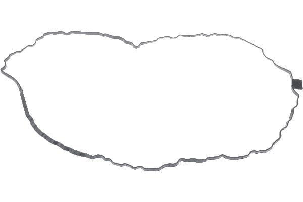 Engine Oil Pan Gasket - VW/Audi