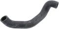 Coolant Hose - BMW