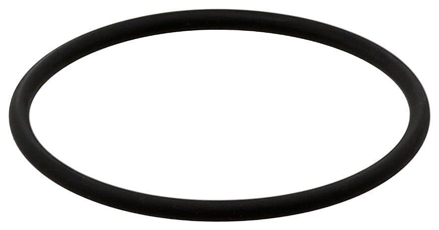 Fuel Pump O-Ring - Porsche / Cayenne / Panamera