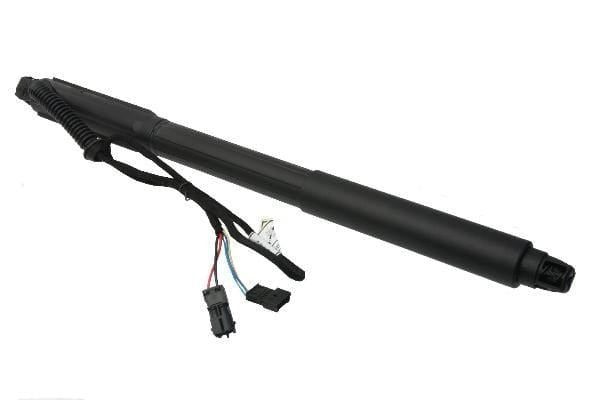 Tailgate Strut
